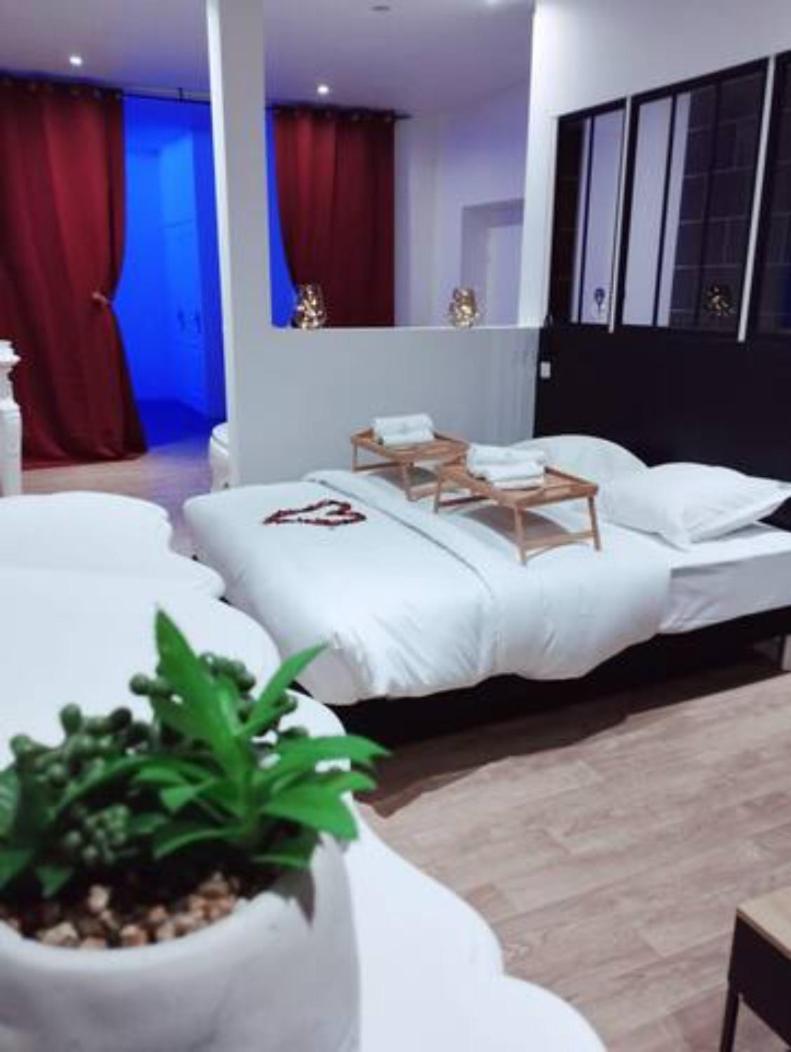 Ng Prestige - Lille L Tourcoing Winoc - Balneo - Sauna - Netflix - Wifi 외부 사진